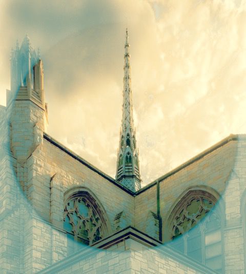 Cathedral of the Holy Angels